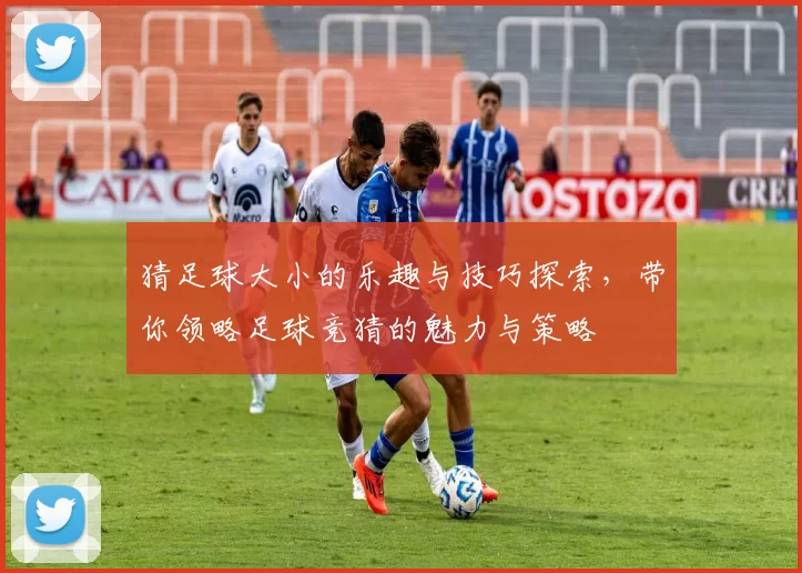 猜足球大小的乐趣与技巧探索，带你领略足球竞猜的魅力与策略
